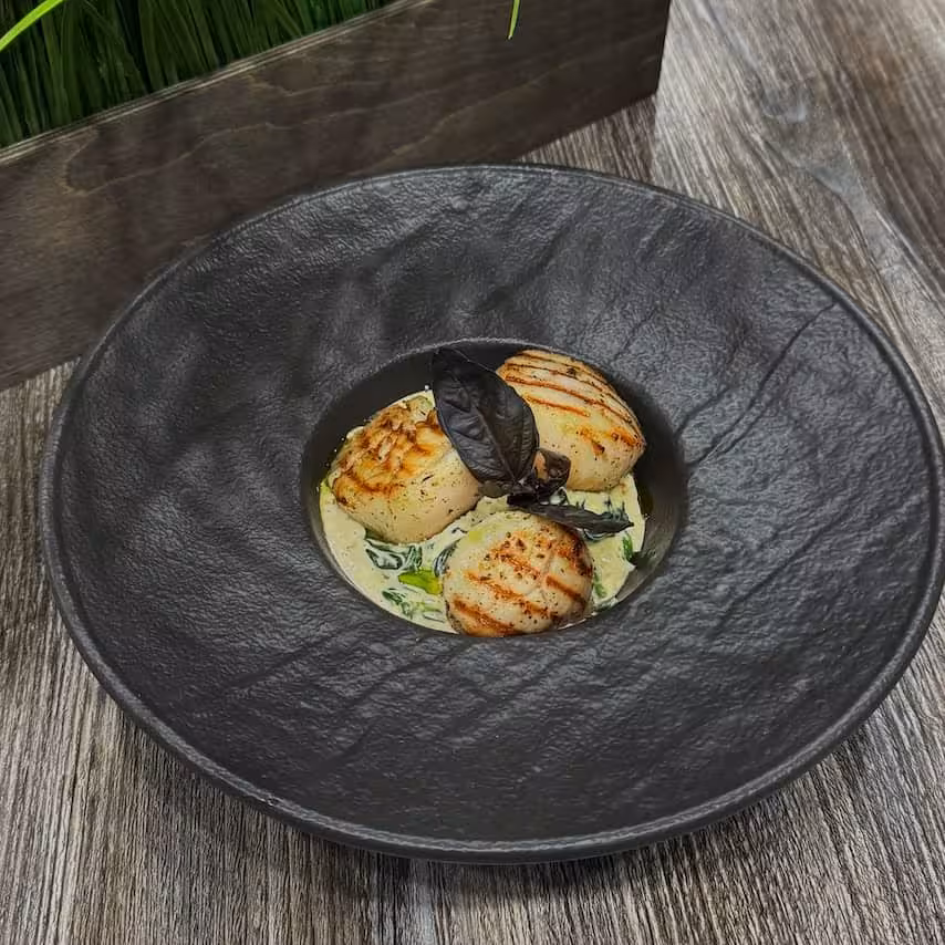 Фото Гребешок на подушке из шпината